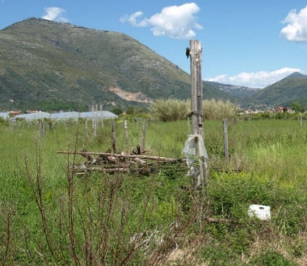 TERRENO LOCALITÀ RENE - FONDI — foto 6