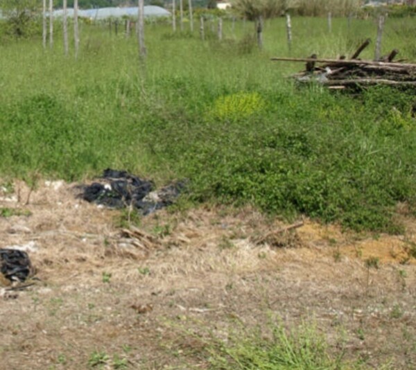 TERRENO LOCALITÀ RENE - FONDI — foto 5