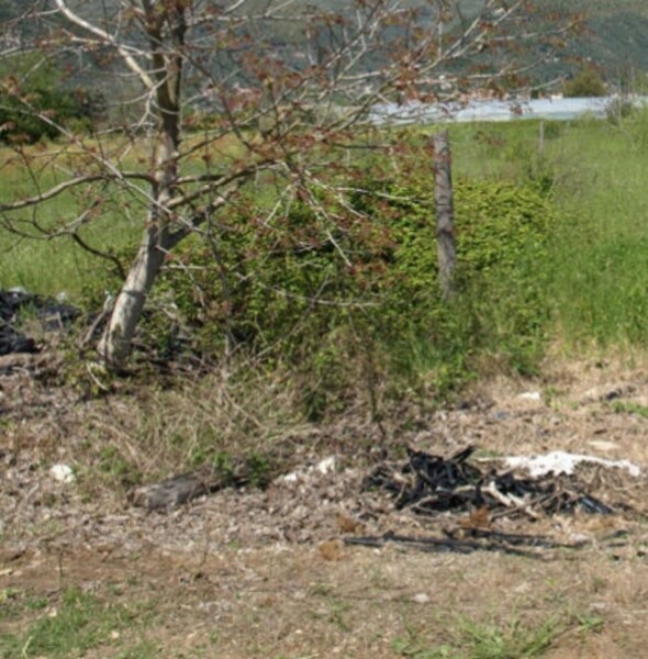 TERRENO LOCALITÀ RENE - FONDI — foto 4