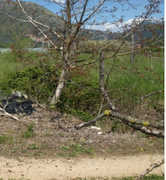 TERRENO LOCALITÀ RENE - FONDI — foto 3