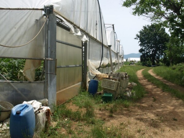 TERRENO LOCALITÀ RENE - FONDI — foto 6