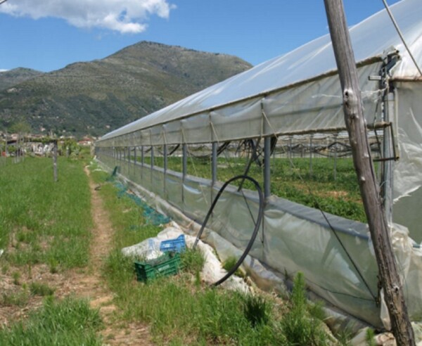 TERRENO LOCALITÀ RENE - FONDI — foto 4