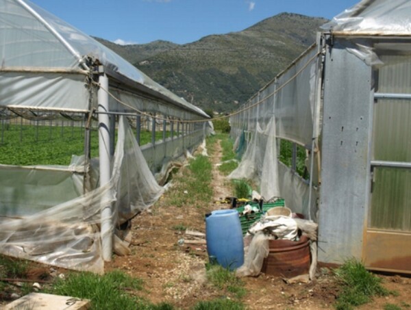 TERRENO LOCALITÀ RENE - FONDI — foto 3
