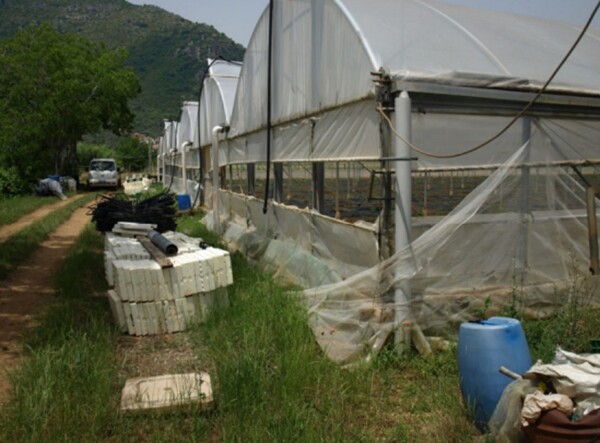 TERRENO LOCALITÀ RENE - FONDI — foto 5