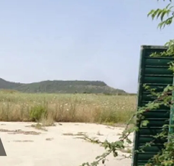 Immagine di CAPANNONE S’ACHILEZZU SNC – BORUTTA