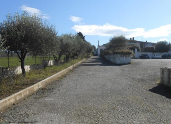 NEGOZIO O LOCALE COMMERCIALE LOCALITÀ MEZZARICOTTA - SAN NICOLA MANFREDI — foto 2
