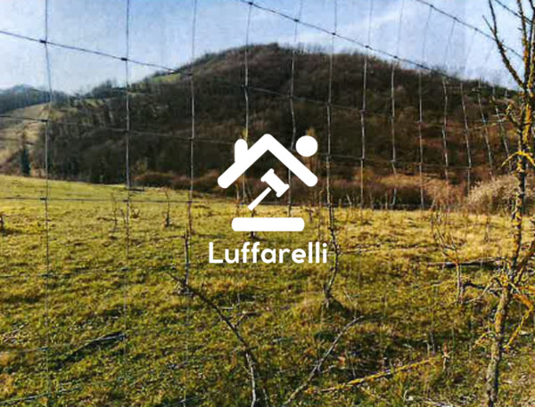 STRUTTURE AGRICOLE LOCALITÀ PONTE PARRANO - NOCERA UMBRA — foto 5