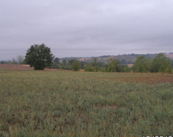 TERRENO STRADA VICINALE DEL CASTELLINO E VIA COSTANZA - ALESSANDRIA — foto 7