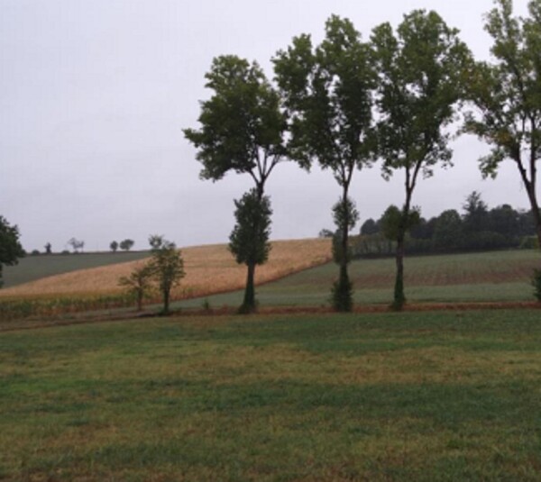 TERRENO STRADA VICINALE DEL CASTELLINO E VIA COSTANZA - ALESSANDRIA — foto 2