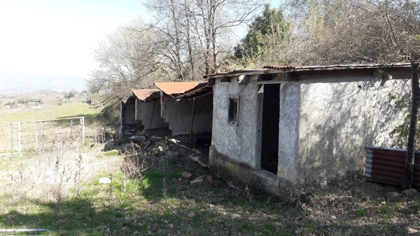 APP., LOC. CAMPACCIO, LATERINA PERGINE VALDARNO,AR — foto 8