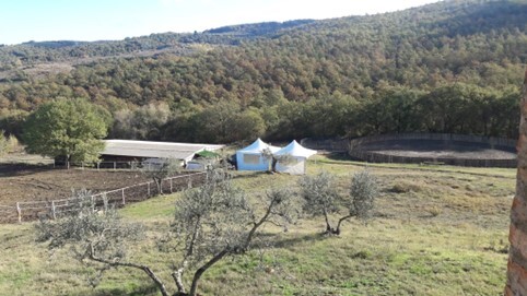 APP., LOC. CAMPACCIO, LATERINA PERGINE VALDARNO,AR — foto 5