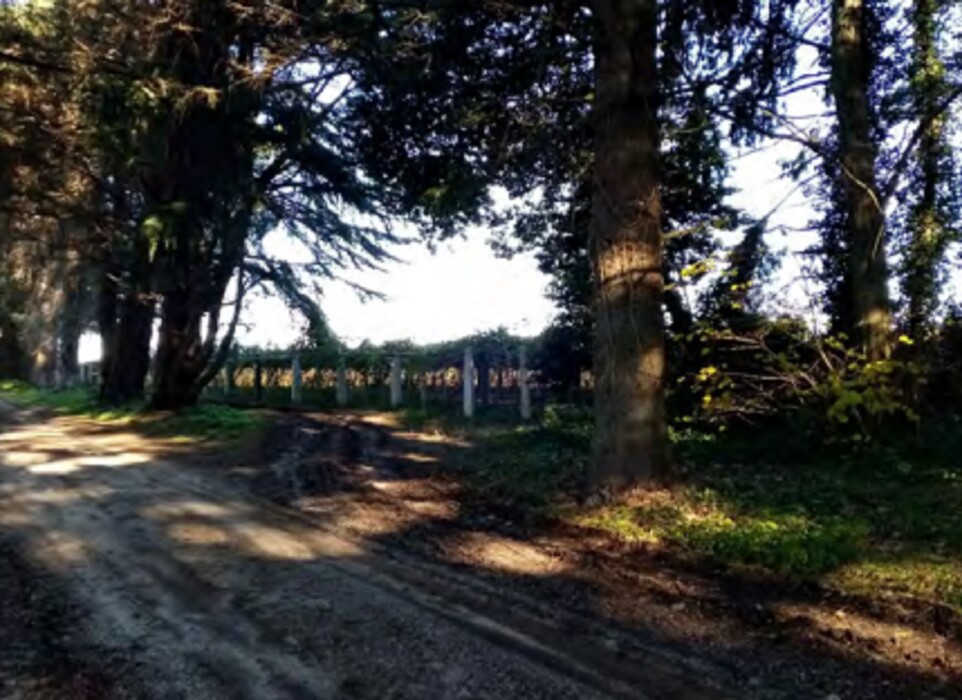 Immagine di TERRENO VELLETRI-CORI – ARTENA (RM)