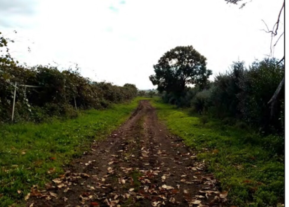 Immagine di TERRENO VELLETRI-CORI – ARTENA (RM)