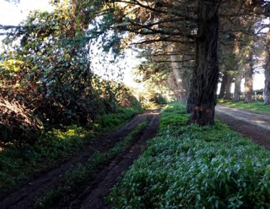 Immagine di TERRENO VELLETRI-CORI – ARTENA (RM)