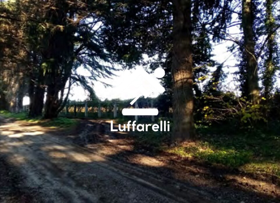 Immagine di TERRENO VELLETRI-CORI – ARTENA (RM)