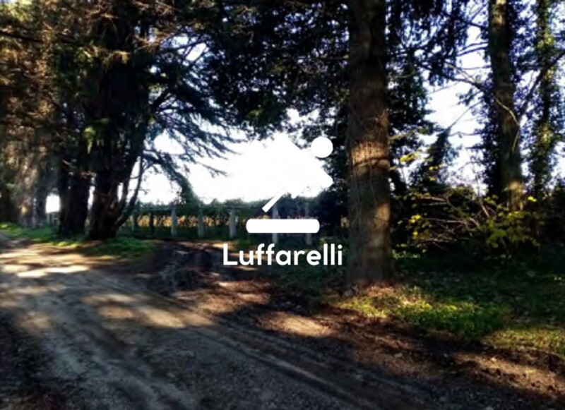 Immagine di TERRENO VELLETRI-CORI – ARTENA (RM)