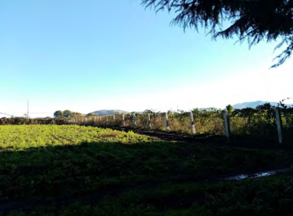 Immagine di TERRENO VELLETRI-CORI – ARTENA (RM)