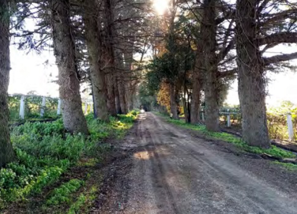 Immagine di TERRENO VELLETRI-CORI – ARTENA (RM)