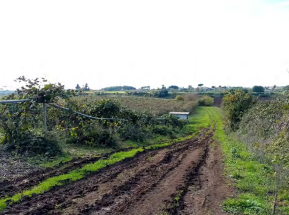 Immagine di TERRENO VELLETRI-CORI – ARTENA (RM)