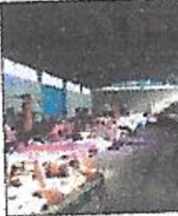 Immagine di TERRENO/FABBRICATI S.P.79/A VELLETRI-CORI, ARTENA