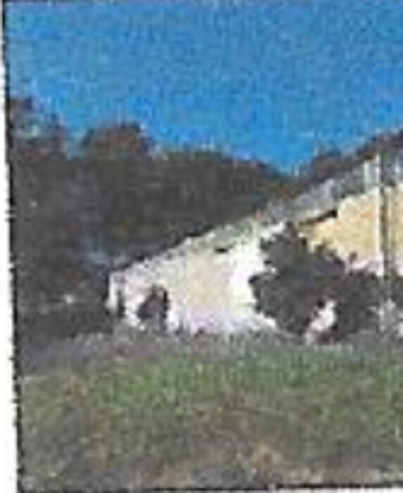 Immagine di TERRENO/FABBRICATI S.P.79/A VELLETRI-CORI, ARTENA