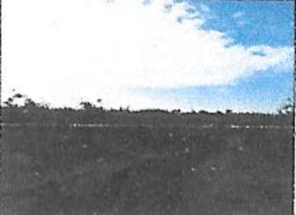 Immagine di TERRENO/FABBRICATI S.P.79/A VELLETRI-CORI, ARTENA