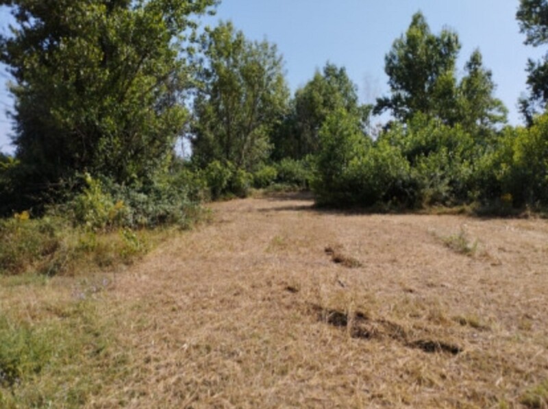 Immagine di CAPANNONE VIA ADOLFO CONSOLINI 16, TIVOLI(RM)