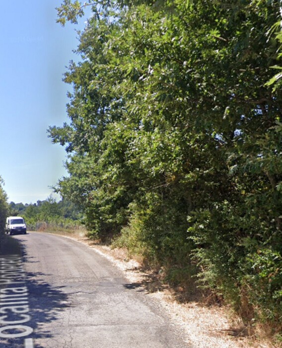 Immagine di AZIENDA AGRICOLA LOCALITA’ PIANA DEL MARSANTE – ACQUAPENDENTE (VT)