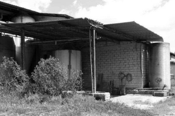 CAPANNONE LOC PIANA DEL MARSANTE - ACQUAPENDENTE — foto 5