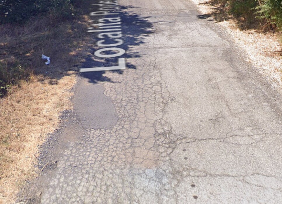 Immagine di AZIENDA AGRICOLA LOCALITA’ PIANA DEL MARSANTE – ACQUAPENDENTE (VT)