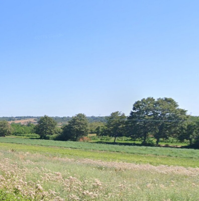 Immagine di AZIENDA AGRICOLA LOCALITA’ PIANA DEL MARSANTE – ACQUAPENDENTE (VT)