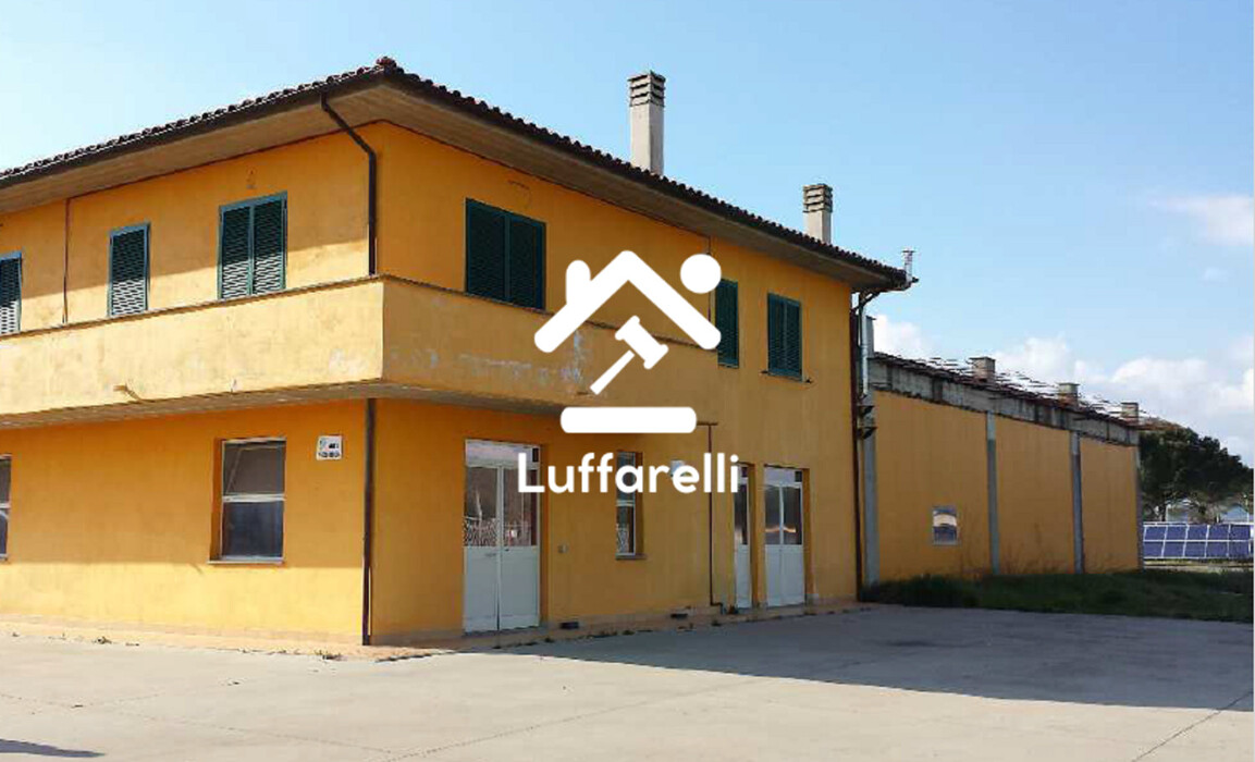 Immagine di CAPANNONE LOC.CAMPO MORINO – ACQUAPENDENTE (VT)