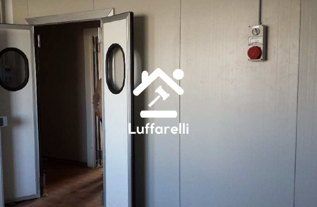 Immagine di CAPANNONE LOC.CAMPO MORINO – ACQUAPENDENTE (VT)