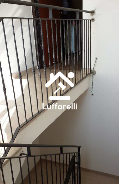 Immagine di CAPANNONE LOC.CAMPO MORINO – ACQUAPENDENTE (VT)