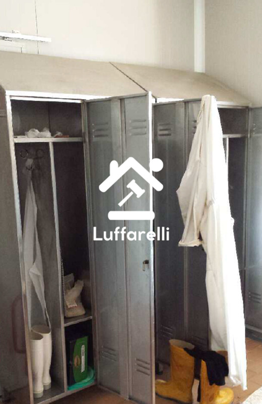 Immagine di CAPANNONE LOC.CAMPO MORINO – ACQUAPENDENTE (VT)