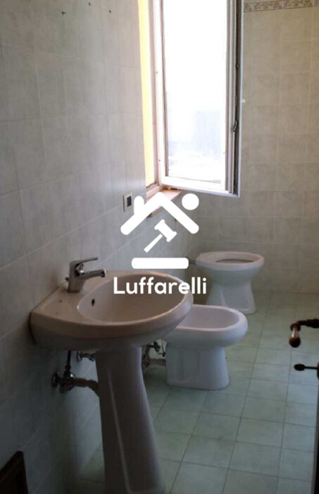 Immagine di CAPANNONE LOC.CAMPO MORINO – ACQUAPENDENTE (VT)