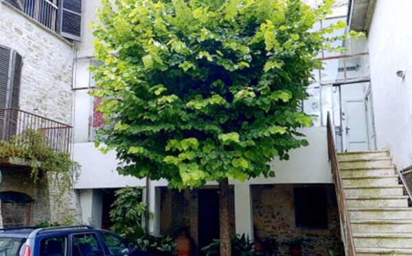 APPARTAMENTO VIA GIUSEPPE REVERBERI - CANNARA — foto 3