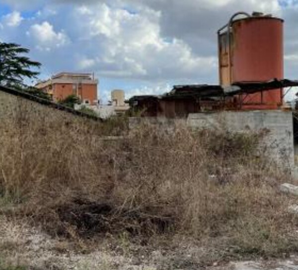 CAPANNONE STRADA MINTURNAE - LATINA — foto 5