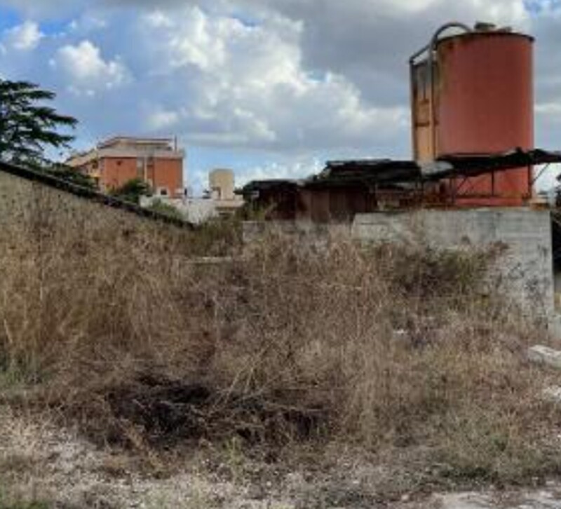 Immagine di CAPANNONE STRADA MINTURNAE – LATINA