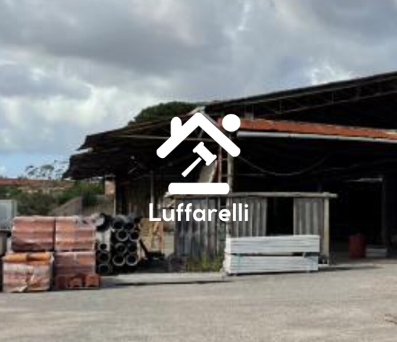 Immagine di CAPANNONE STRADA MINTURNAE – LATINA