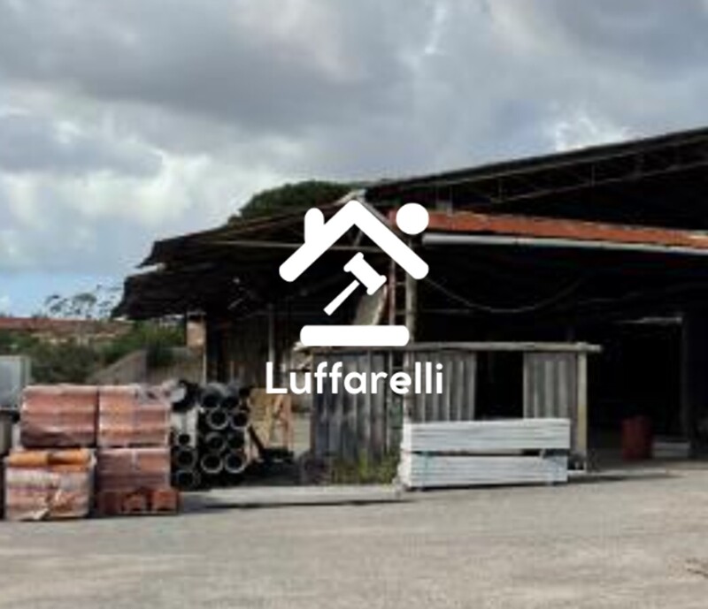 Immagine di CAPANNONE STRADA MINTURNAE – LATINA