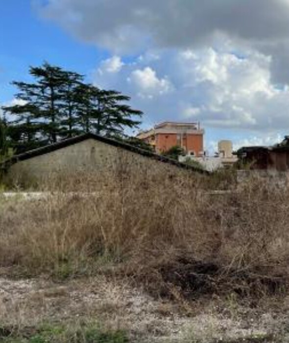 Immagine di CAPANNONE STRADA MINTURNAE – LATINA