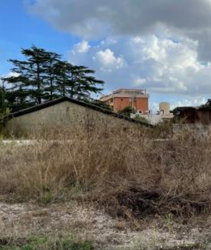 Immagine di CAPANNONE STRADA MINTURNAE – LATINA