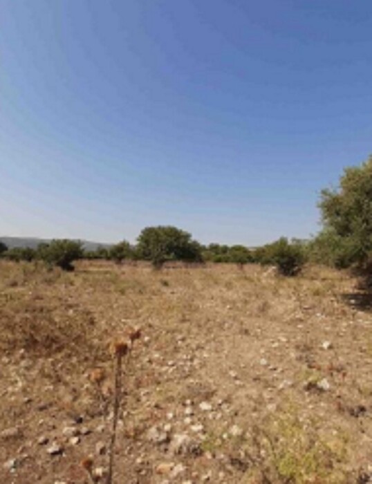 Immagine di TERRENO C.DA SANTA CATRINI – MELILLI