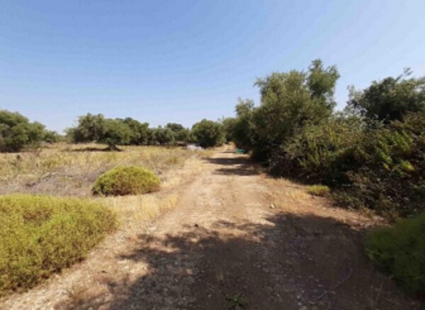 TERRENO C.DA SANTA CATRINI - MELILLI — foto 6