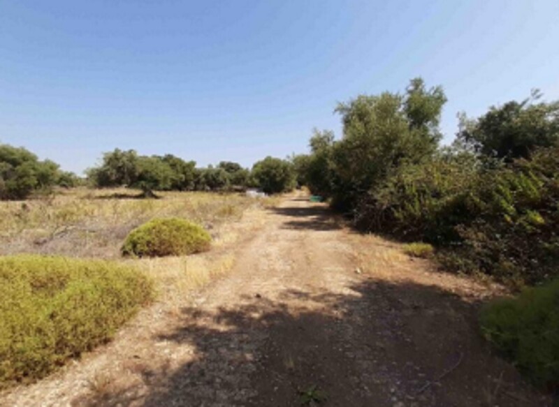 Immagine di TERRENO C.DA SANTA CATRINI – MELILLI