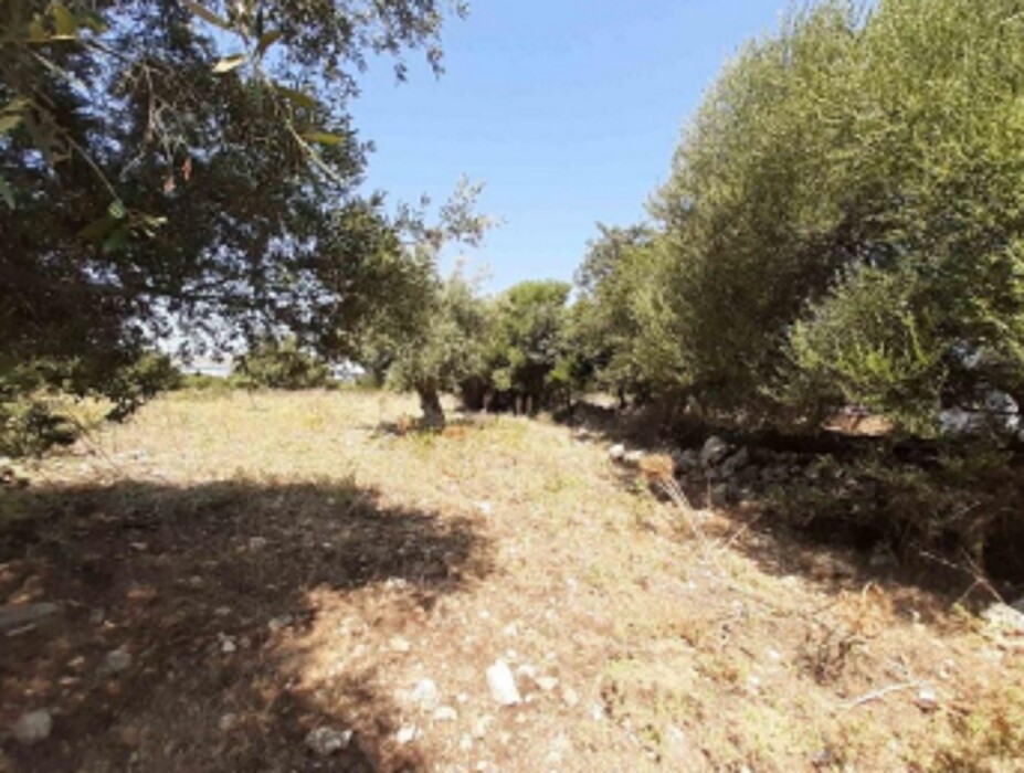 Immagine di TERRENO C.DA SANTA CATRINI – MELILLI