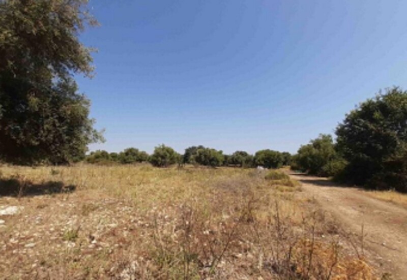 Immagine di TERRENO C.DA SANTA CATRINI – MELILLI