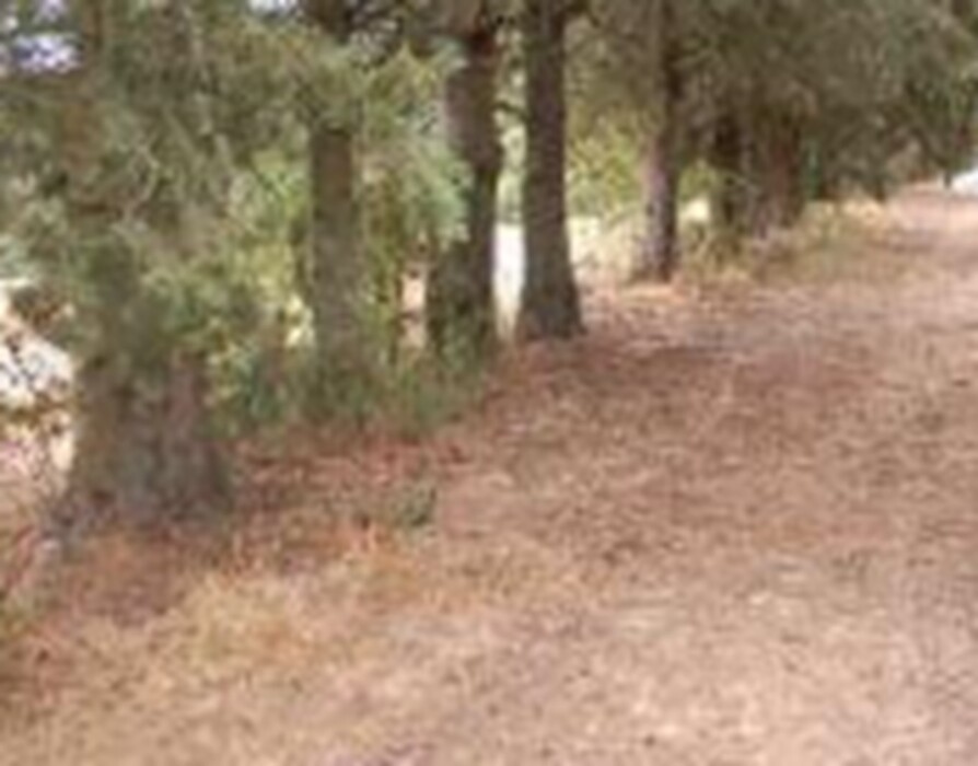 Immagine di TERRENO FRAZ.SPINA – MARSCIANO (PG)