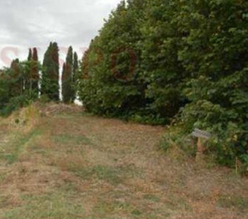 Immagine di TERRENO FRAZ.SPINA – MARSCIANO (PG)